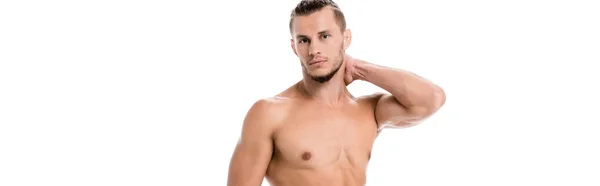Sexy Shirtless Man Posing Isolated White Banner — Stock Photo, Image