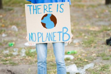 cropped view of volunteer holding placard with globe and there is no planet b inscription, ecology concept clipart
