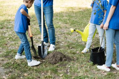 cropped view of mother and daughter holding young tree and watering can while father and son digging ground, ecology concept clipart