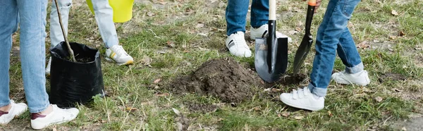 Cropped View Father Son Digging Ground Mother Daughter Young Tree — Stock Photo, Image