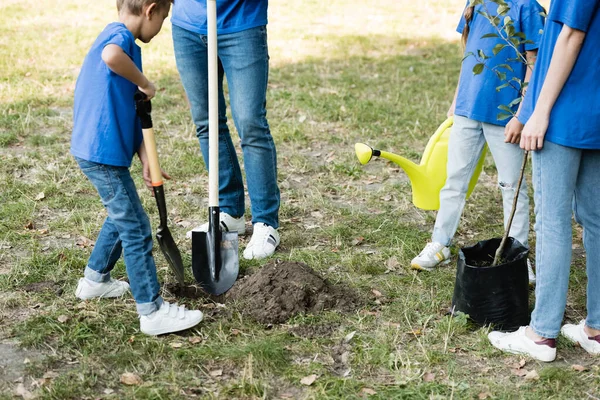 Beskärd Utsikt Över Mor Och Dotter Som Håller Unga Träd — Stockfoto