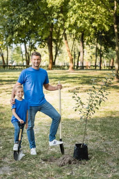 父と息子は若い木の近くに立ちシャベルと生態学の概念 — ストック写真