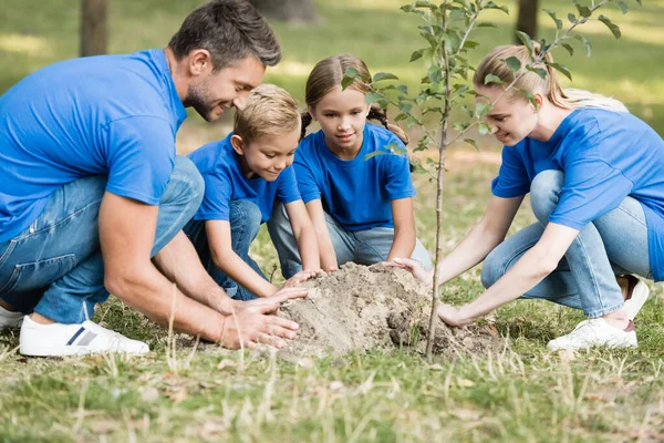 Familia Voluntarios Plantando Árboles Jóvenes Bosque Concepto Ecología — Foto de Stock