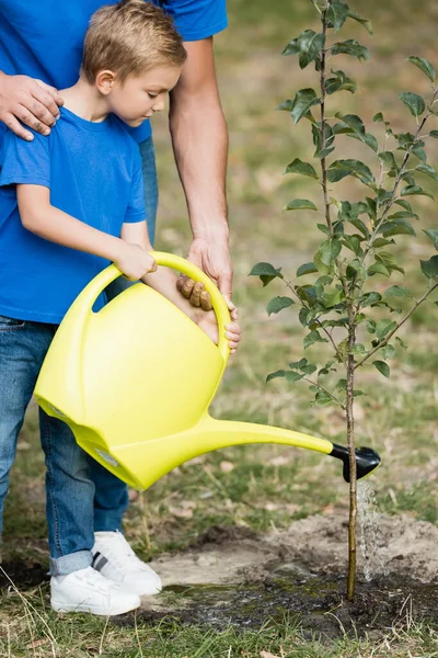 男孩与父亲在公园里浇灌幼树的局部视角 生态概念 — 图库照片