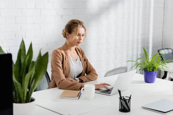 Bizneswoman Pomocą Laptopa Siedząc Przy Stole Roślinami Niewyraźnym Pierwszym Planie — Zdjęcie stockowe