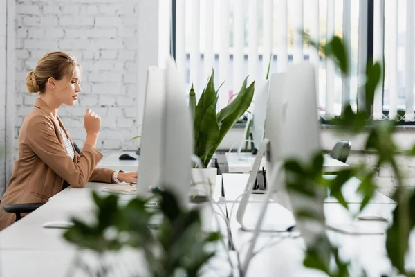 Empresaria Trabajando Sentada Mesa Con Monitores Ordenador Oficina Con Planta —  Fotos de Stock