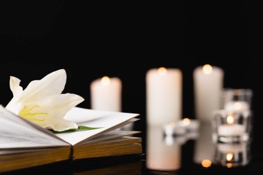 lily on holy bible on blurred background, funeral concept clipart