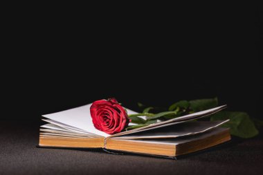 red rose on holy bible on black background, funeral concept clipart