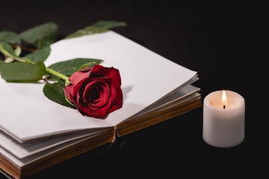 Kırmızı gül kutsal incilde, mum yanında siyah arkaplan, cenaze konsepti