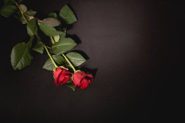 Siyah arka planda iki kırmızı gül, cenaze konsepti.