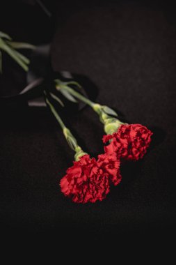 Siyah arkaplanlı iki kırmızı karanfil çiçeği, cenaze konsepti.