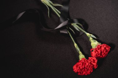Siyah arkaplanlı iki kırmızı karanfil çiçeğinin üst görüntüsü, cenaze konsepti.