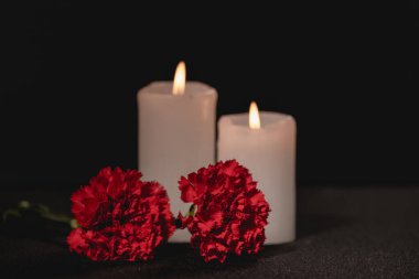 Kırmızı karanfil çiçekleri ve siyah arka planda mumlar, cenaze konsepti.