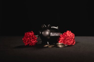 Kırmızı karanfil çiçekleri ve siyah arka planda bozuk paraları olan domuz kumbarası, cenaze konsepti
