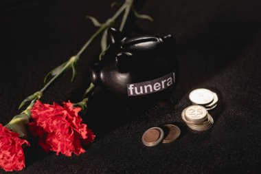 Kırmızı karanfil çiçekleri ve siyah arka planda bozuk paraları olan domuz kumbarası, cenaze konsepti