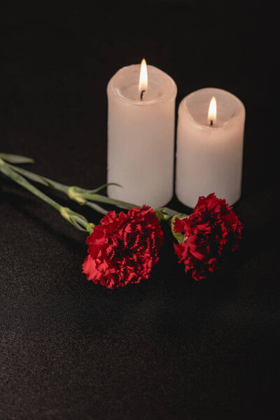 red carnation flowers and candles on black background, funeral concept