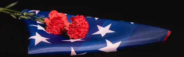 Red Carnation American Flag Black Background Funeral Concept Banner — Stock Photo, Image