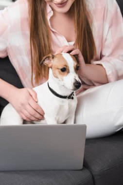Kanepede Jack Russell Terrier 'la sevişen bir kadının görüntüsü.