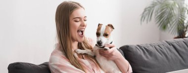 Heyecanlı kadın kollarında Jack Russell Terrier, afiş