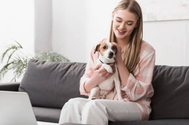 Elinde dizüstü bilgisayarla koltukta oturan gülümseyen kadın Jack Russell Terrier.