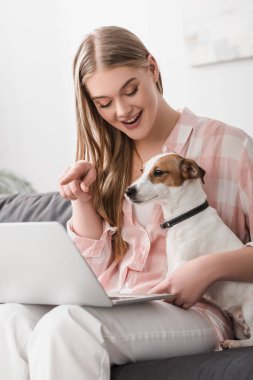 Jack Russell Terrier 'la kanepede oturan ve dizüstü bilgisayarını işaret eden mutlu kadın. 