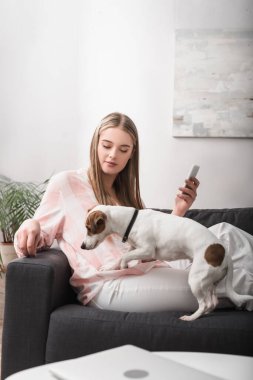 Jack Russell Terrier ile kanepede oturan ve elinde akıllı telefon tutan genç bir kadın.