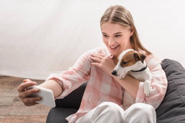 Neşeli kadın oturma odasında Jack Russell Terrier ile selfie çekiyor. 