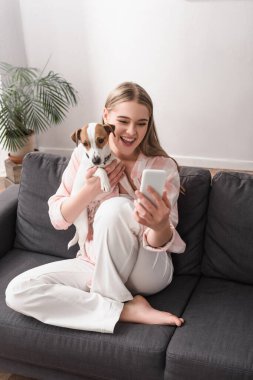 Genç, neşeli kadın Jack Russell Terrier ile oturma odasında selfie çekiyor. 