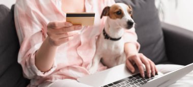 Evde online alışveriş yaparken elinde köpek ve dizüstü bilgisayarın yanında kredi kartı tutan genç bir kadının kısmi görüntüsü, afiş