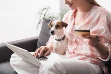 Evde online alışveriş yaparken elinde köpek ve dizüstü bilgisayarın yanında kredi kartı tutan mutlu bir kadın görüntüsü.