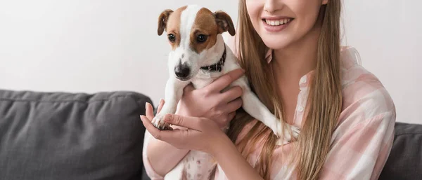 Vista Cortada Mulher Alegre Segurando Braços Jack Russell Terrier Banner — Fotografia de Stock