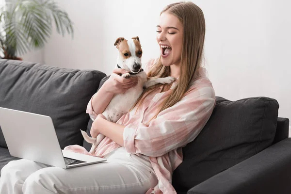 Wanita Bersemangat Memegang Lengan Jack Russell Terrier Sambil Duduk Sofa — Stok Foto