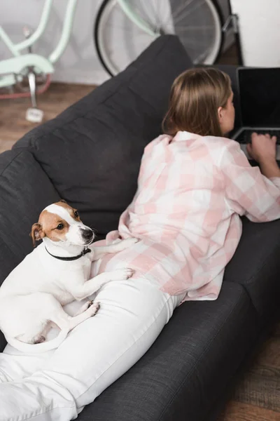 Kobieta Leżąca Kanapie Jackiem Russellem Terrierem Korzystająca Laptopa Salonie — Zdjęcie stockowe