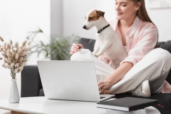 Notebook Coffee Table Woman Dog Blurred Background — Stock Photo, Image