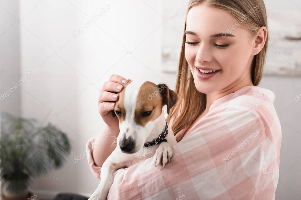 young cheerful woman holding in arms and cuddling jack russell terrier in living room 