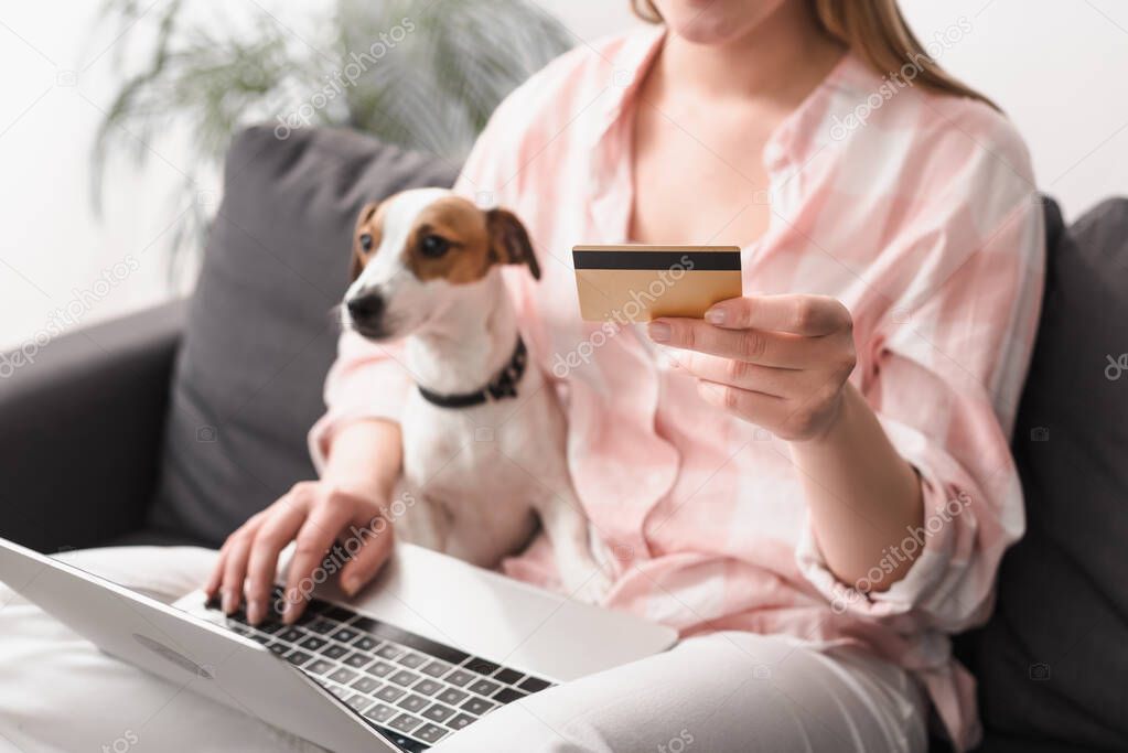 cropped view of young woman holding credit card near jack russell terrier and laptop while online shopping at home