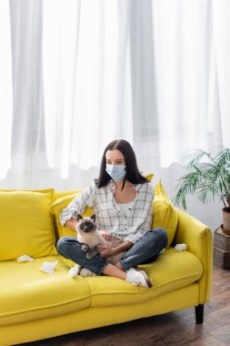 Maskeli genç alerjik kadın kedi ve buruşuk peçetelerle kanepede otururken alerji geçiriyor.