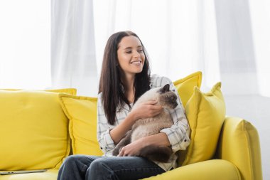 Kanepede kediyi kucaklarken başka tarafa bakan neşeli kadın.