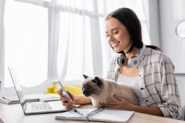 Neşeli serbest yazar kedisiyle dizüstü bilgisayarın yanında otururken akıllı telefondan konuşuyor.