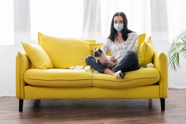 医療用マスクのアレルギー女性がカメラを見ながらソファに座り紙ナプキンの近くで猫と一緒に — ストック写真