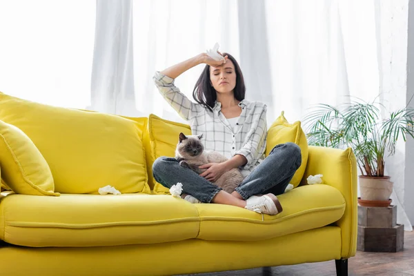 Ung Allergisk Kvinna Sitter Soffa Med Katt Och Lider Huvudvärk — Stockfoto