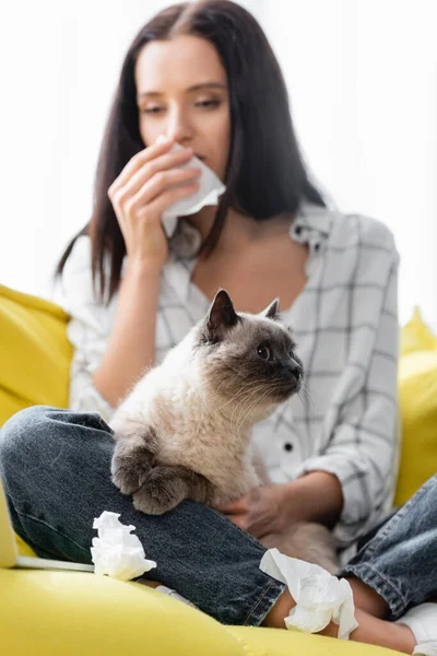 鼻を拭くアレルギー女性の近くの猫の選択的焦点紙ナプキンを背景にぼやけた — ストック写真