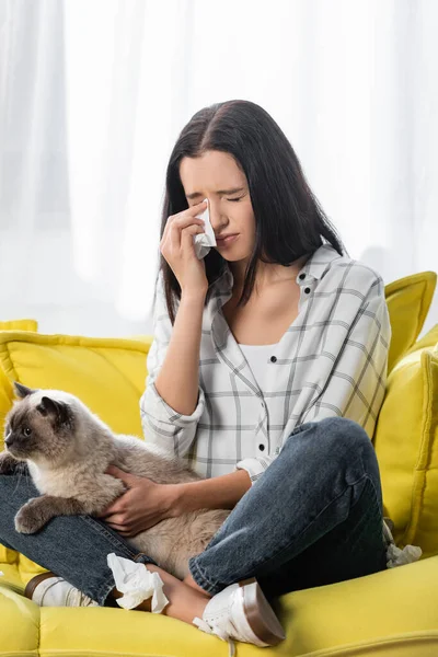 猫とソファに座って紙ナプキンで涙を拭くアレルギーの女性 — ストック写真