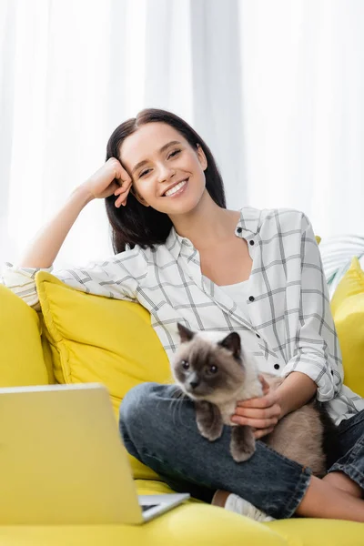 Freelancer Feliz Sorrindo Para Câmera Enquanto Sentado Sofá Com Gato — Fotografia de Stock