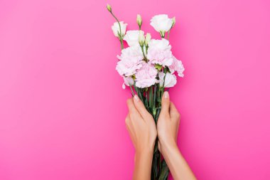 Karanfil tutan kadın ve pembe arka planda östoma çiçekleri