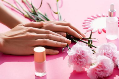 cropped view of female hands near carnation flowers, bottles of nail polish and cuticle remover, and fake nails palette on pink clipart