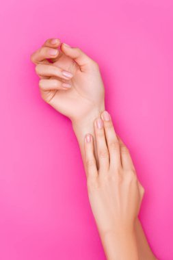top view of groomed female hands with pastel manicure on pink background clipart