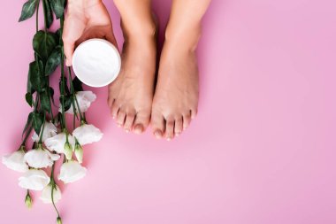 cropped view of woman holding cosmetic cream near groomed feet and white eustoma flowers on pink background clipart