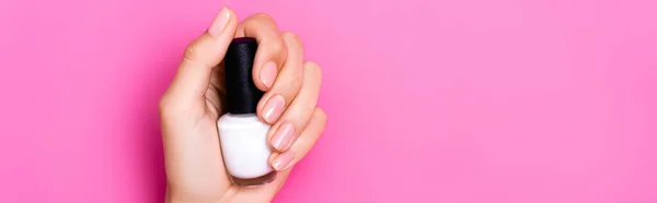 Top View Groomed Female Hand Bottle White Nail Polish Pink — Stock Photo, Image