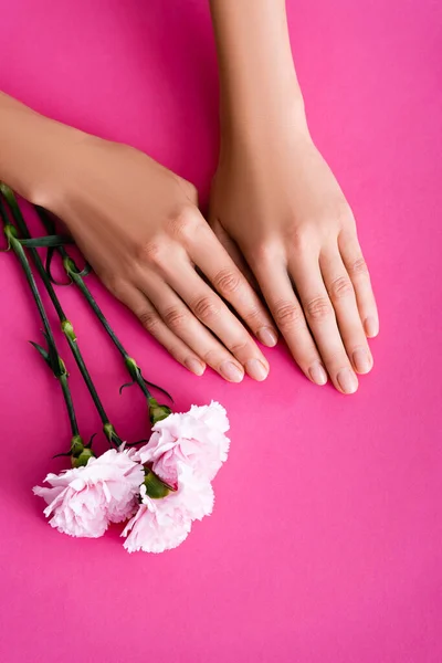 Top View Female Hands Nails Covered Shiny Enamel Carnation Flowers — Stock Photo, Image